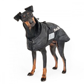 Back on Track Dog Rug (43-59)