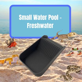 Hermit Crab Watering Pool | Platform Pool Accessory with Access Ramp for Hermit Crabs | 6.5" x 4" | Made in USA (Fresh Only, Black)