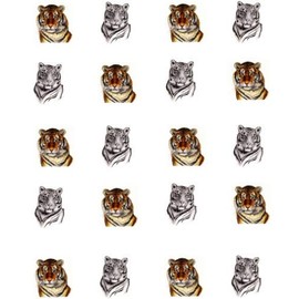 Tiger Waterslide Nail Art Decals