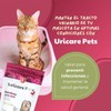 NTX BY NARTEX Suplemento Problemas Urinarios En Perros/Gatos 90g (Individual)