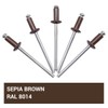 Pack of 50 Painted Blind Rivets 3.2 x 8 mm,