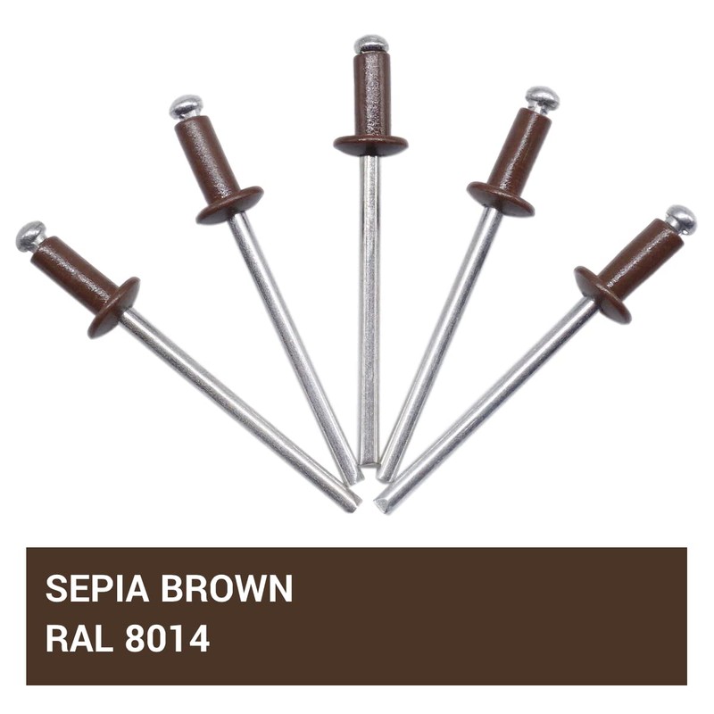 Pack of 50 Painted Blind Rivets 3.2 x 8 mm,