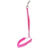 Groom Professional Allon Basic Noose With Padding Paw Print, 45