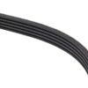 Contitech 5PK1207 Timing Belt