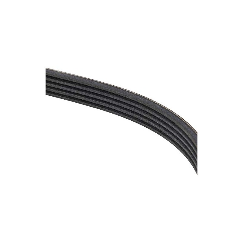 Contitech 5PK1207 Timing Belt