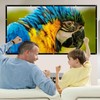 Mdbebbron 150 inch Projection Screen 16:9 Foldable Anti-Crease Portable Projector