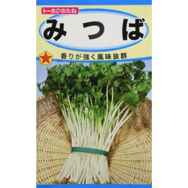 Tohoku Mitsuba Corporation 01349