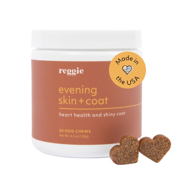 Reggie Evening Skin + Coat Supplements for Dogs | Relieves