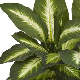 HomeStock Baroque Beauty Dieffenbachia Artificial Plant in Ceramic Planter