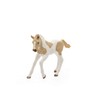 Schleich Paint Horse Foal 2024
