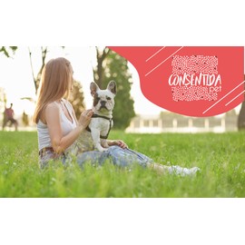 Consentida Small Animal Harnesses Nylon Harnesses