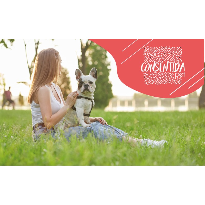 Consentida Small Animal Harnesses Nylon Harnesses