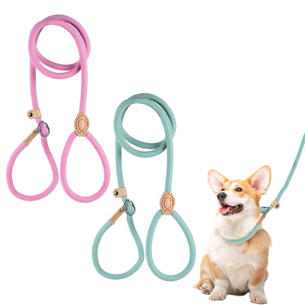 2 PCS Slip Lead for Dogs 1.5M Reflective Training Dog
