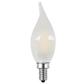 Feit Electric Bulb LED FLM FRS 5.5W2PK