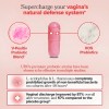 Uro Suplemento Probióticos Cápsula Caja Piezas Vitamina Nutricional Sabor Carnitina