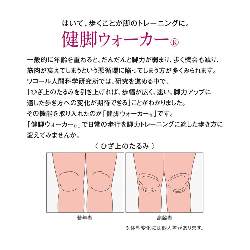 Wacoal Wacoal DGL510 Girdle for Women (Below Knee Length) Legs