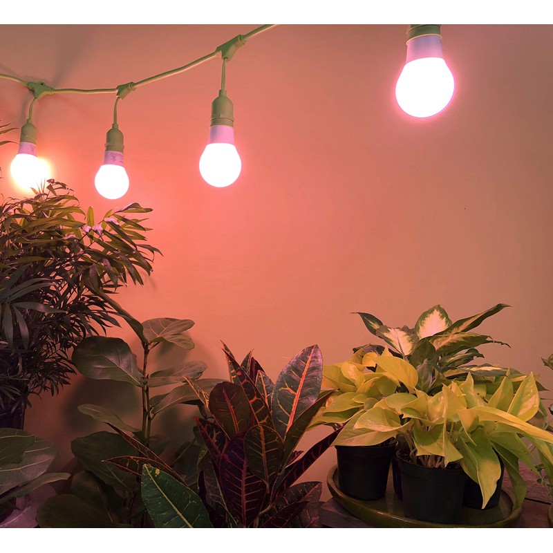 MiracleLED 604596 Multi-Plant Grow Light, 1 Pack, Red 150W