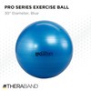 THERABAND Exercise Ball, Professional Series Stability Ball with 75 cm