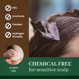 DONGSUNG Herb Speedy Permanent Color Cream (Natural Black, 1 Pack), PPD-Free Ammonia-Free Vegan Hair Dye with Sun Protection, Odorless, Gentle for Sensitive Scalp, No Eye or Scalp Irritation