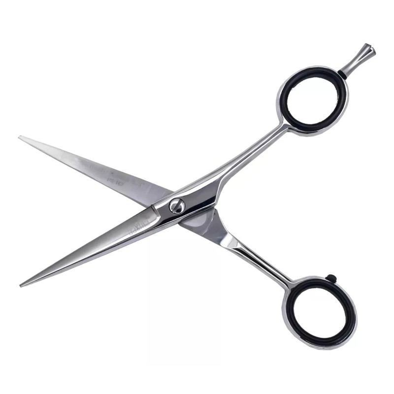 Aashta Tijera Aashta Barbero/estilismo Acero 5.5 Basic Color Plateado