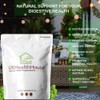 UKHealthHouse Peppermint 150mg Tablets | Digestion Support Vegans High Strength