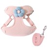 PAPIEEED Puppy Harness & Leash Set, Soft Mesh Padded Cat