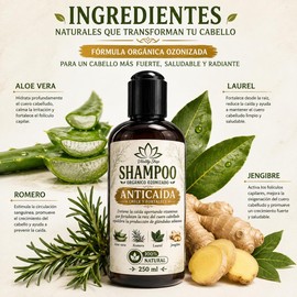 Shampoo anticaída orgánico con romero, aloe vera y vitamina E – Vitality Shop