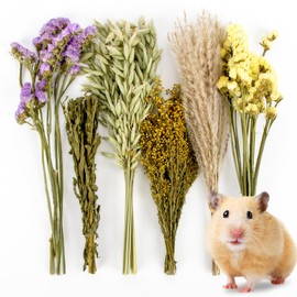 Sukh 42Pcs Herb Bedding Habitat Decor - Natural Flower Hamster Mate Herbs Sprays Cage Safe Pet Accessories Decorations Hideout for Hamsters Mouse Guinea Pig Dwarf Gerbils Syrian Mice