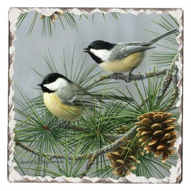 Thirstystone Chickadee Pine Tree Single Tumbled Tile Stone Coaster with Protective Cork Backing Manufactured in The USA 4" Square, Artistic, Easily Wipes Clean