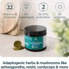 Ancient Nutrition Organic SuperGreens Powder with Probiotics, Organic Multivitamin Greens,