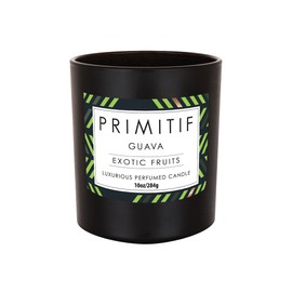 Enesco Izzy and Oliver Primitif Exotic Fruits Scented Jar Candle, 10 Ounce, Guava