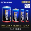 Iris Ohyama LR03BP/20P AAA, Alkaline, Pack of 20, Long Life,