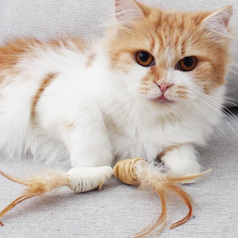 Generic MEETCARE Cat Toy Interactive Toy Mouse Shaped Toy -