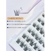 LUMERIS False Eyelash Parts, Natural, Easy Installation, 60 Bundles, Beginners,