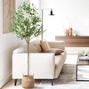 Artificial Olive Tree 6FT, Olive Trees Artificial Indoor with Potted,