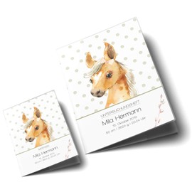 OLGS Examination Book Cover and Vaccination Certificate Cover Set Design Farm Horse | Examination Book & Vaccination Certificate Cover with Name, Gift for Pregnancy - Booklet, Vaccination Certificate