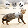 Cat Harness and Leash for Walking Escape Proof Breathable Mesh