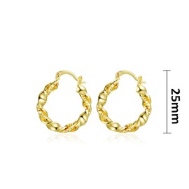 9ct Gold Filled Hoop Creole Earrings for Women,Twisted Women Hoop Earrings (25MM) Yulovee.