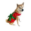 ComfyCamper Dog Gift Christmas Costume - Xmas Present Santa Claus