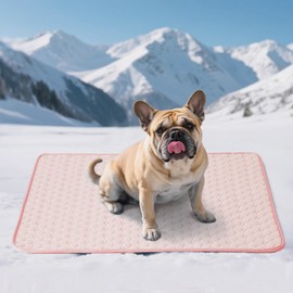 Soulbond Dog Cooling Mat - 29"x40" Washable Cooling Mat for Dogs & Cats, QMAX>0.3, Anti-Slip Bottom, Portable Summer Cool Pet Bed Pad for Indoor/Outdoor/Travel Use, Pink