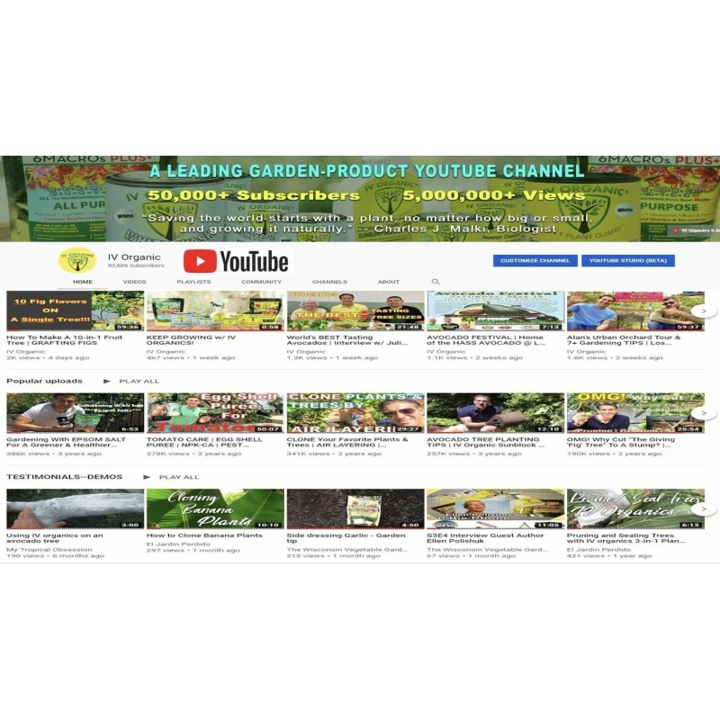 IV Organic White Wash, 1 Pint (WHITE)