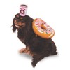 Donut and Coffee Pet Suit, Large