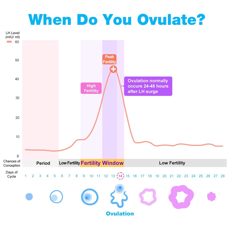 Easy@Home 50 Ovulation Test Strips and 20 Pregnancy Test Strips