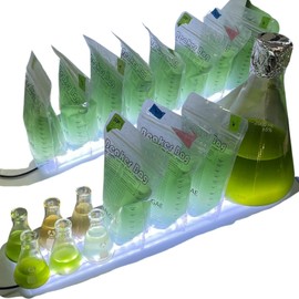 Benchtop Algae Light, USB LED Light for Algae Culturing, Designed for Brainy Briny Kits, Aquaculture Labs, and Under-Tank Aquarium Lighting for Educational or Home Aquaculture Applications.