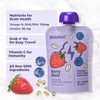 Brainiac Fruit and Oat Smoothie Pouches, 20 pk.
