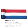Sasagawa 50-7505 Hawk Ribbon, France Ribbon with Flag Pattern, Width