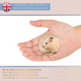 Destination Vinyl ltd Magnet for Refrigerator, Fridge - Cute Rodent Mouse Hamster for Office, Cabinet and Whiteboard, Magnetic Stickers, 3709