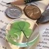 Real Four Leaf Clover Good Luck Pocket Token, Preserved, 1.25”,