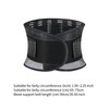 perfeclan Back Support Belt for Men and Women, Lower Back