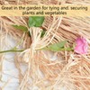 WORUIB 3 Bundles Brown Raffia Straw For Gift Wrapping, DIY